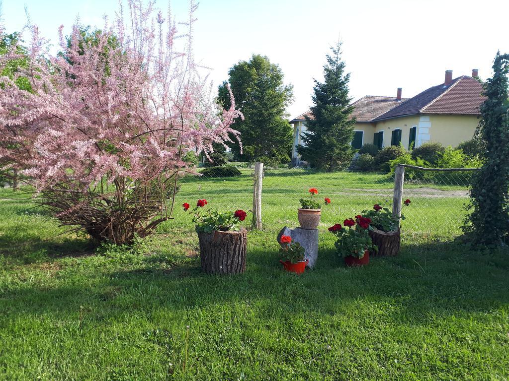 Vendektanya Vendeghaz Hotel Tapolca Luaran gambar