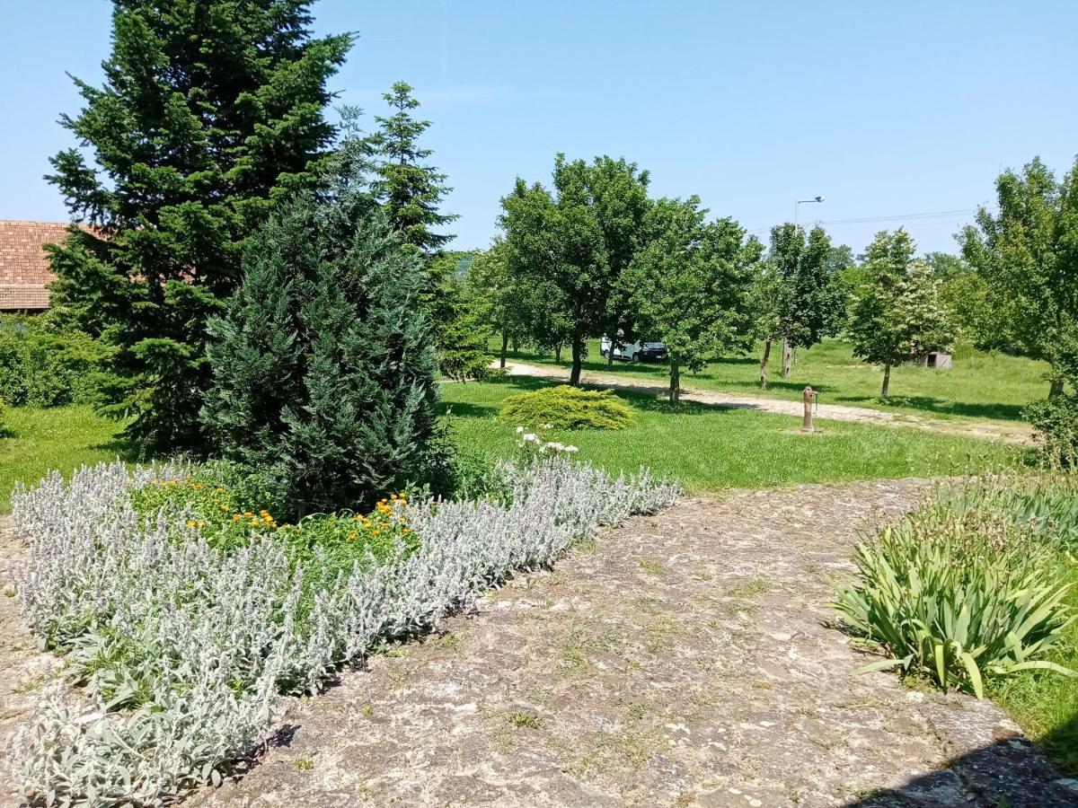 Vendektanya Vendeghaz Hotel Tapolca Luaran gambar