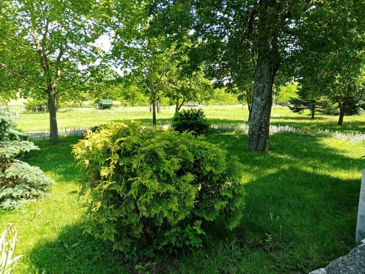 Vendektanya Vendeghaz Hotel Tapolca Luaran gambar